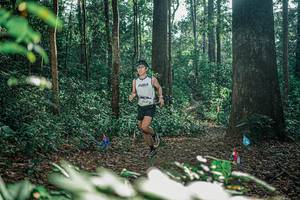 BIB: 
                            <button type="button" onclick="openModal(26068300)" class="btn btn-primary btn-sm float-right btn-popup" data-toggle="modal" data-target=".modal-high-quality">
                        <i class="fas fa-shopping-cart"></i> Add to Cart
                    </button>
                                            <button type="button" onclick="isThisMe(26068300, true)" class="btn btn-success btn-sm float-right btn-popup btn-isme hidden" data-toggle="tooltip" data-placement="bottom" title="นี่คือรูปของคุณใช่ไหม คลิกที่นี่เพื่อเอาเข้าอัลบั้ม">
                        <i class="fas fa-plus"></i> Add to album
                    </button>
                    <button type="button" onclick="isThisMe(26068300, false)" class="btn btn-warning btn-sm float-right btn-popup btn-isnotme hidden">
                        <i class="fas fa-ban"></i> Remove from album
                    </button>